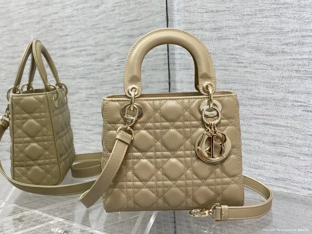 Tony Luxuries diro Lady Small Calfskin-20-16.5-8CM 0504